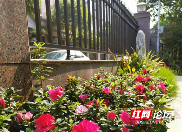 132019l5tg5j1aju55055t.jpg 132019l5tg5j1aju55055t.jpg