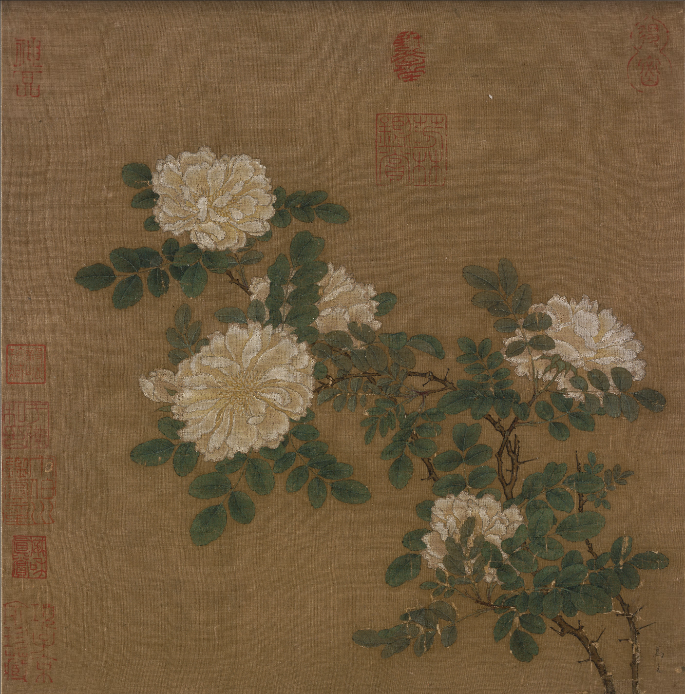 宋 马远 《白蔷薇图》页 故宫博物院藏