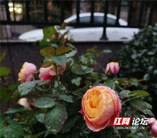 132118a47s0b29cy7i4x2c.jpg 132118a47s0b29cy7i4x2c.jpg