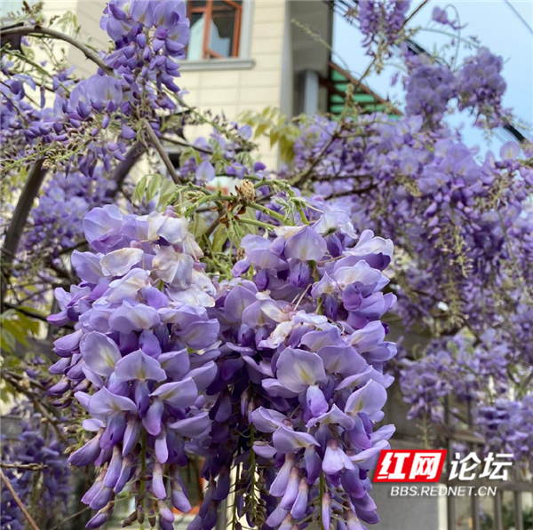 132111f8aucg2s8jsu8mgm.jpg 132111f8aucg2s8jsu8mgm.jpg