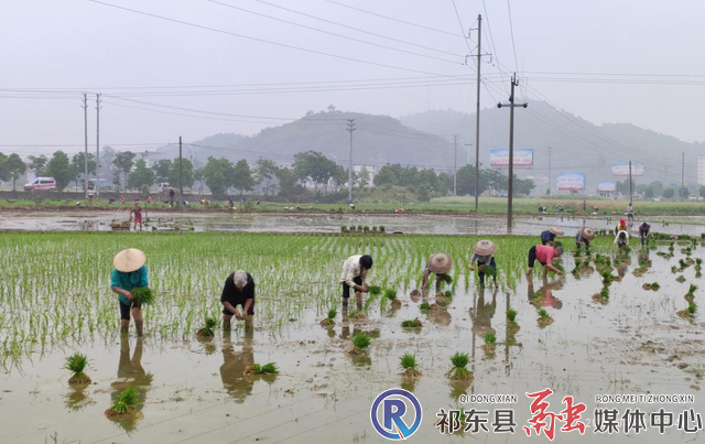 w_图片1.png