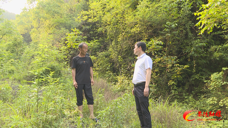 0153d04e31474a9f892852ab8200cb50.bmp 0153d04e31474a9f892852ab8200cb50.bmp