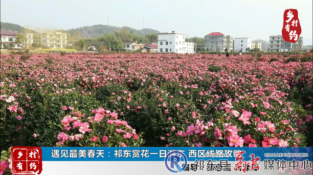 w_微信截图_20220429104932.png
