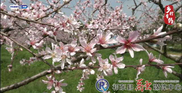w_微信截图_20220429105505.png