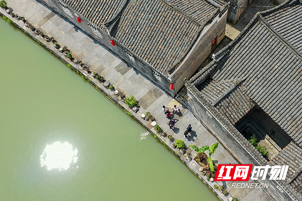 DJI_0173.jpg DJI_0173.jpg