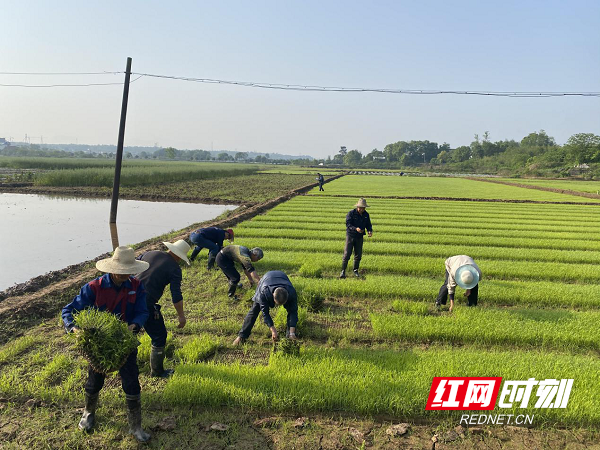 图片4.png 图片4.png