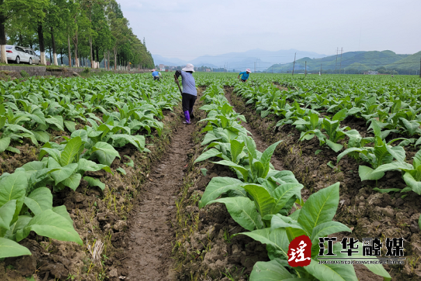 微信截图_20220506161159.png