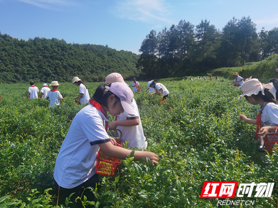 1 (59)_副本.jpg