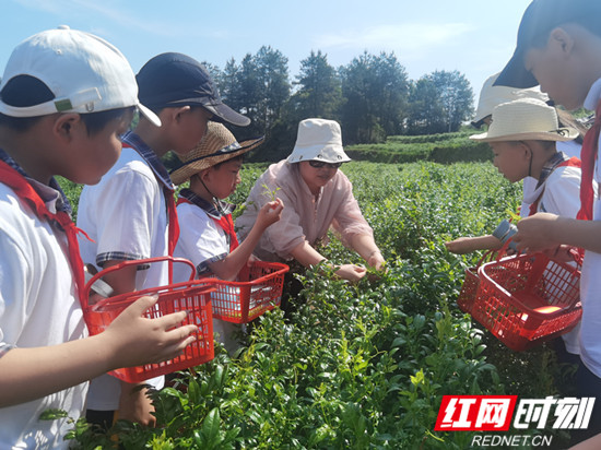 1 (40)_副本.jpg