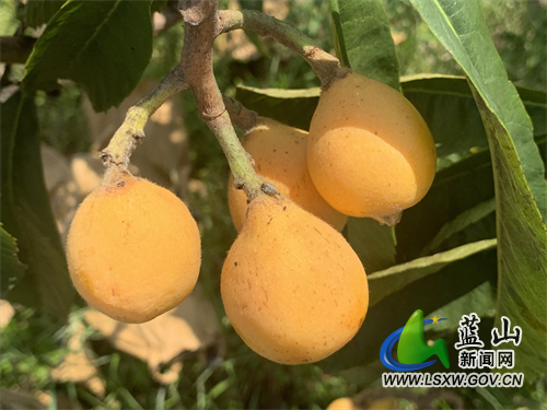 微信图片_202205071512101.jpg 微信图片_202205071512101.jpg