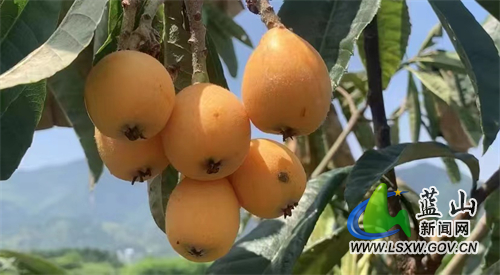 微信图片_202205071512102.jpg 微信图片_202205071512102.jpg