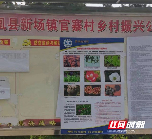 图片40.jpg