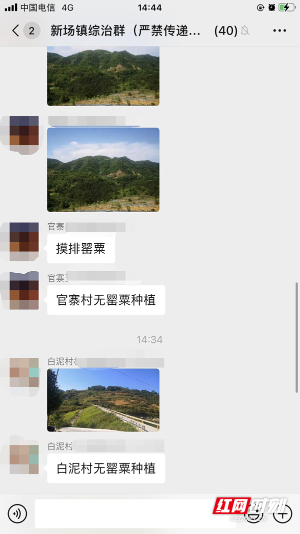 图片41.jpg