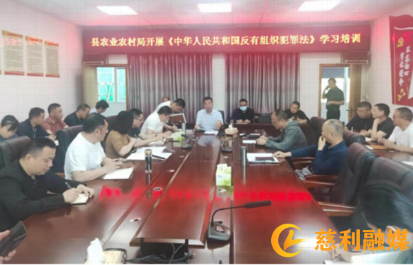 开展常态化扫黑除恶工作推进会38_副本.png