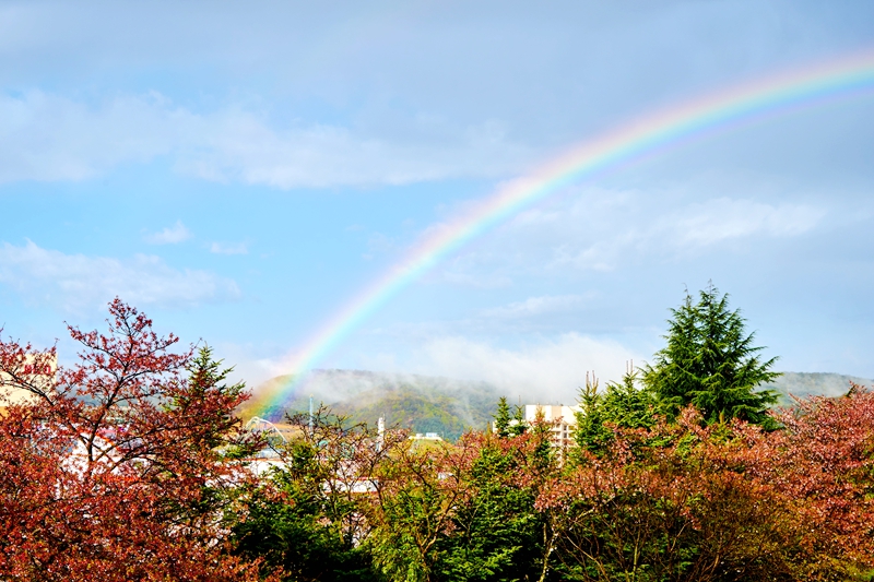 ibaotu_17309_副本.jpg ibaotu_17309_副本.jpg