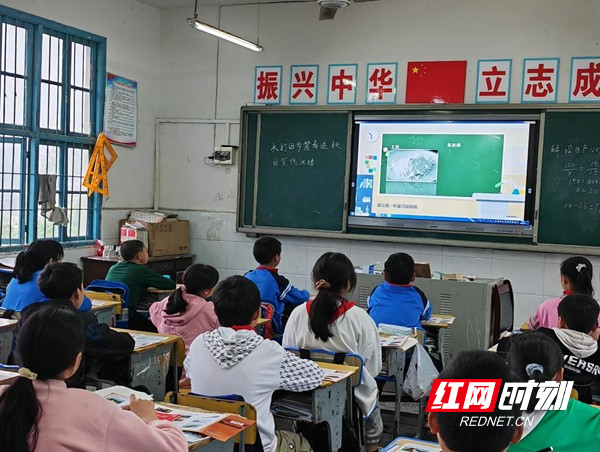 图片31.jpg
