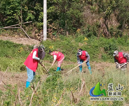 图片2.png 图片2.png