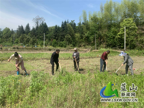 图片3.jpg 图片3.jpg