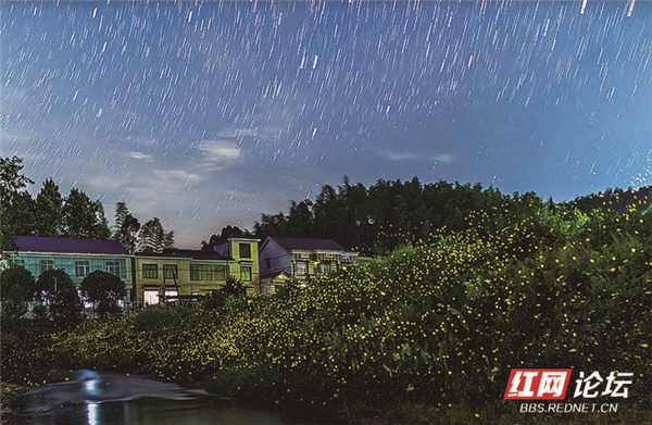 161422vfygtqlquss4jyar.jpg 161422vfygtqlquss4jyar.jpg