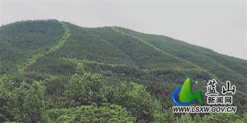 图片1.jpg 图片1.jpg