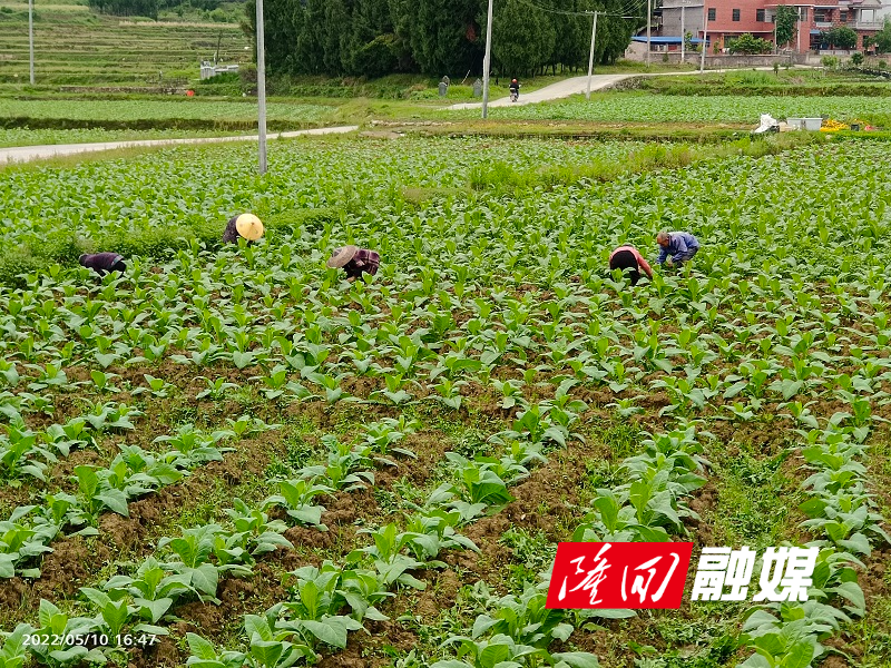 微信图片_20220510192702.jpg