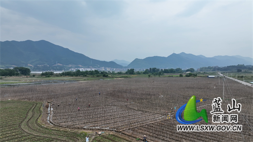 微信图片_20220511160209.jpg 微信图片_20220511160209.jpg