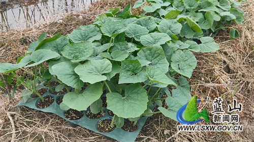 微信图片_20220511160210.jpg 微信图片_20220511160210.jpg