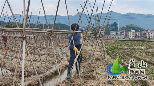 微信图片_202205111602101.jpg 微信图片_202205111602101.jpg