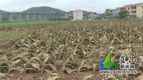 微信图片_202205111734031.jpg 微信图片_202205111734031.jpg