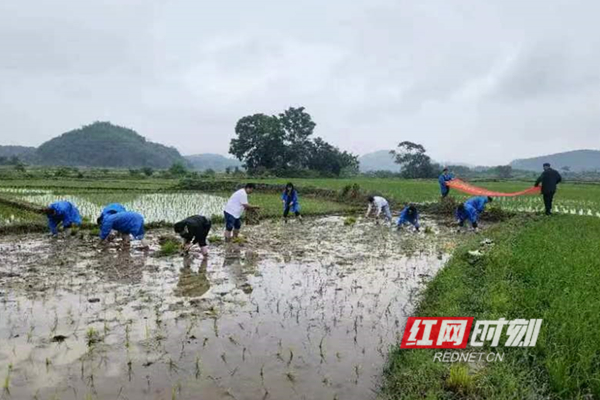 微信图片_20220512104034_副本.jpg