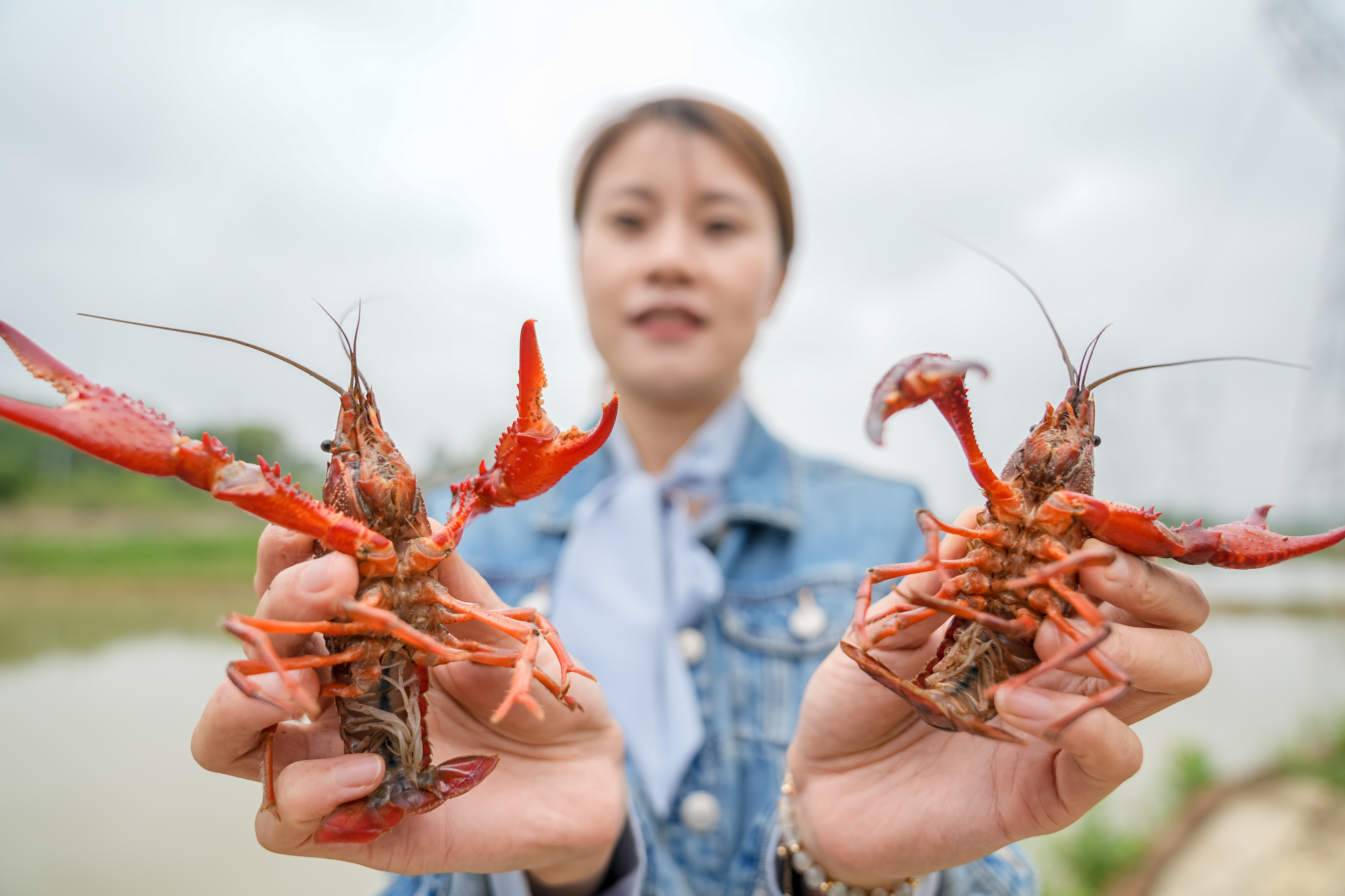 活蹦乱跳闹餐桌！长沙本地小龙虾“火出圈”