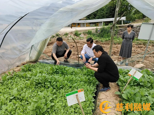 东方红_副本.png