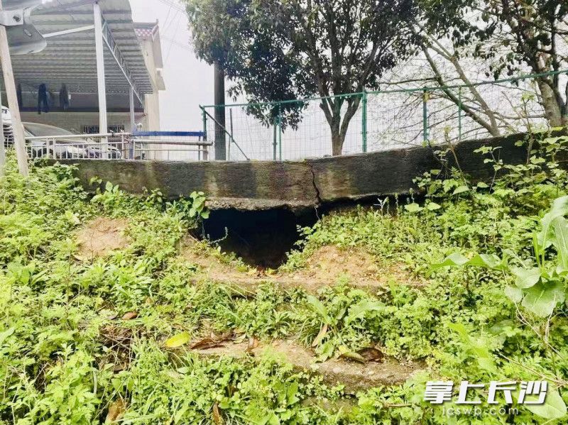 大塘塘基道路下被大雨“掏”出洞，路面也開裂沉陷，開福區(qū)急事特辦，迅速搶險(xiǎn)。 均為長(zhǎng)沙晚報(bào)通訊員金美黎 供圖 