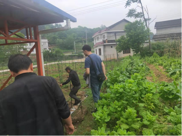 慈利县农业农村局开展禁种铲毒踏查行动34.png