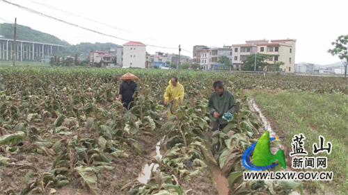 微信图片_202205141359123.jpg 微信图片_202205141359123.jpg