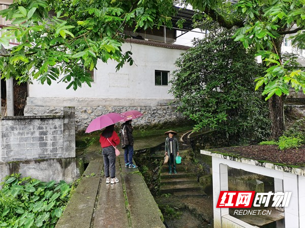 教师们实地大走访场景.jpg