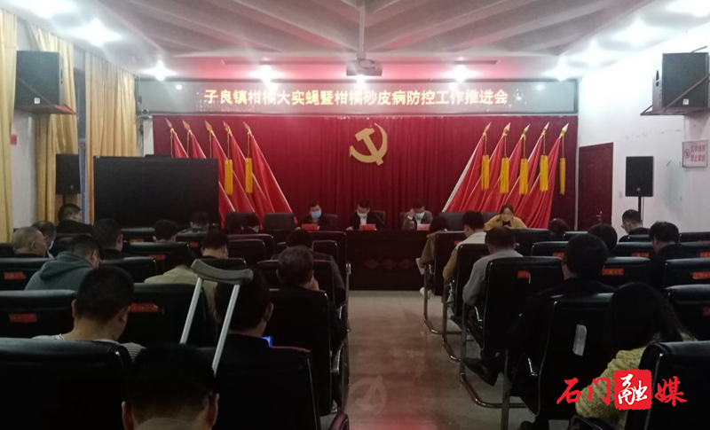 子良镇：多措并举开展柑橘病虫害绿色综合防控1.jpg