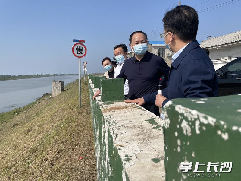 郑建新在双江口镇闸坝湖垸检查防汛备汛工作。