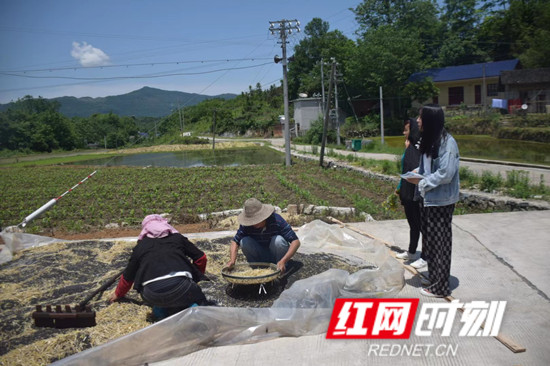 食安2_副本.jpg