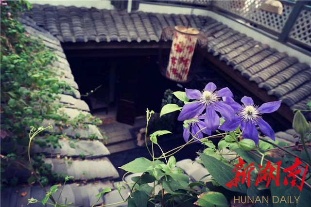 快时代·慢时光 | 长沙：太平老街  历久弥新