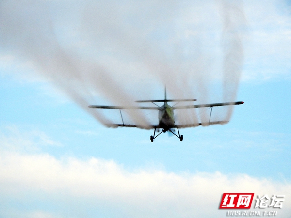 022725ruxfsw5gfzygthzf (1).jpg