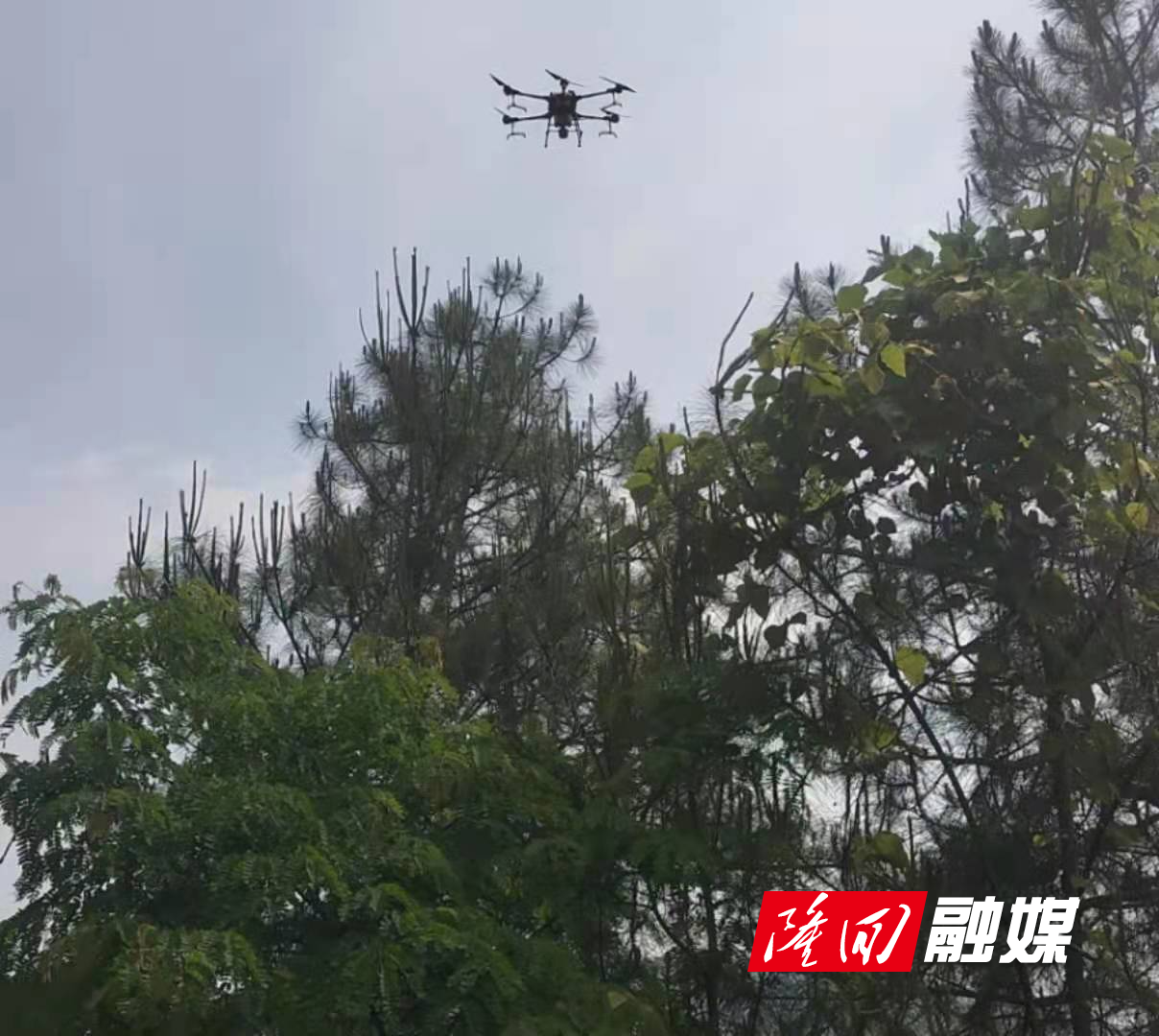 微信图片_20220517102955.jpg 微信图片_20220517102955.jpg