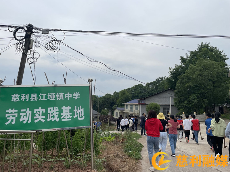 微信图片_20220517173148_副本.jpg