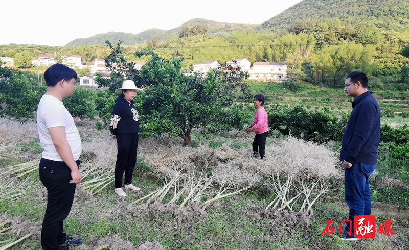 新铺镇：全力筑牢秸秆禁烧“防火墙”.jpg