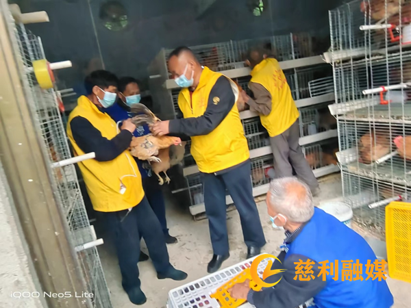 图片2_副本.png