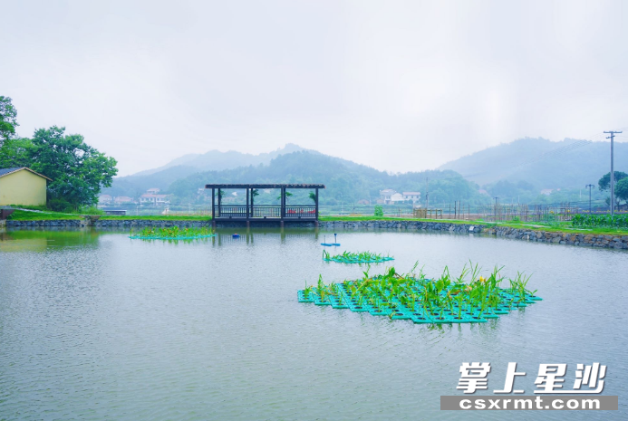 长沙县：“清廉池”的变迁
