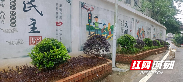 图片47.jpg