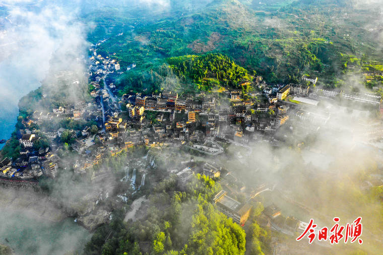 芙蓉镇公司 (5) 小.png