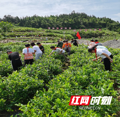 微信图片_20220517150855(1).jpg 微信图片_20220517150855(1).jpg