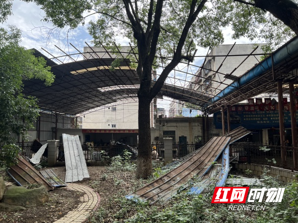 图六阳光苑社区辖区107国道住宅小区违建铁棚被拆除。（黄书菊  赵广辉  摄）.jpg